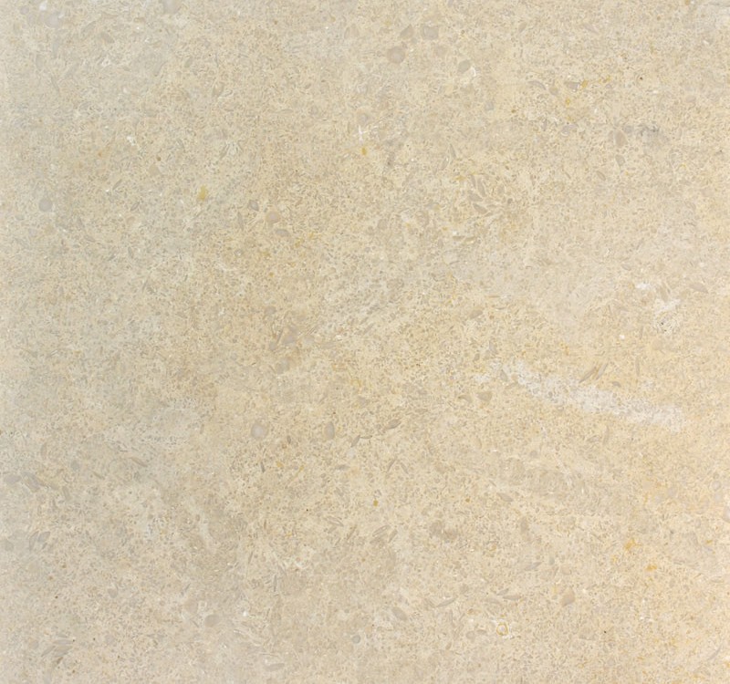seashell-limestone-tile